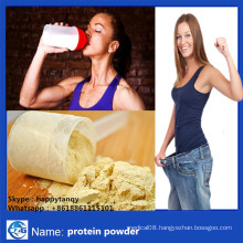 Bulk Organic Whey Protein Powder OEM From China